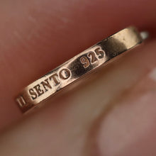 Load image into Gallery viewer, RETIRED Ti Sento hoop charms in sterling silver