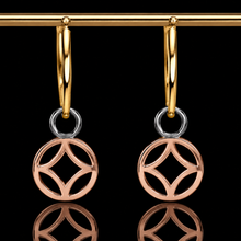 Load image into Gallery viewer, CLEARANCE!  RETIRED Ti Sento hoop charms in sterling silver